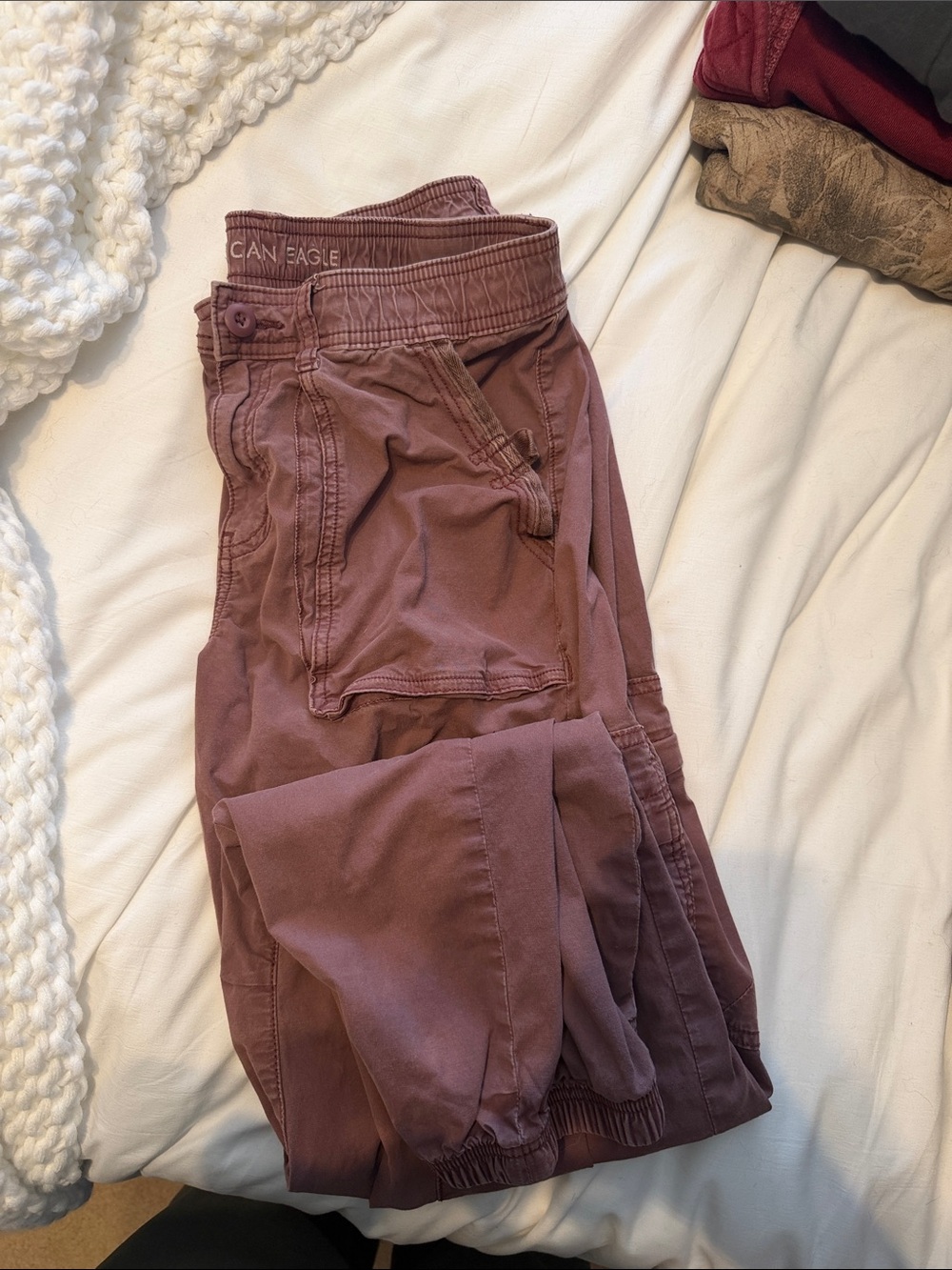 American Eagle Outfitters  Dusty Rose Cargo Joggers